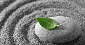 Holistic Therapies or Life Coaching?. smallmeditationleaf